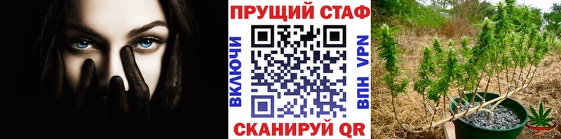 Сколько стоит Будённовск Вейп ТГК A PVP mega зеркало Меф мяу мяу COCAIN Галлюциногенные грибы МАРИХУАНА