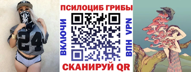 Псилоцибиновые грибы Magic Shrooms  Будённовск 